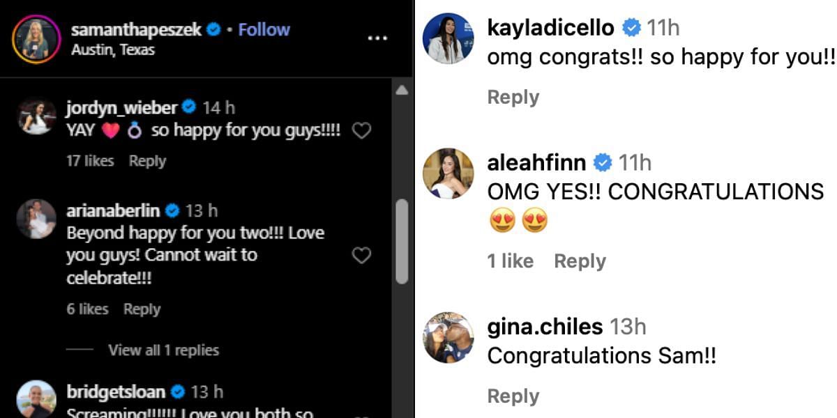 Screenshot of the aforementioned Instagram post's comment section.